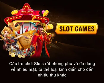 Giám đốc công nghệ 77wim
